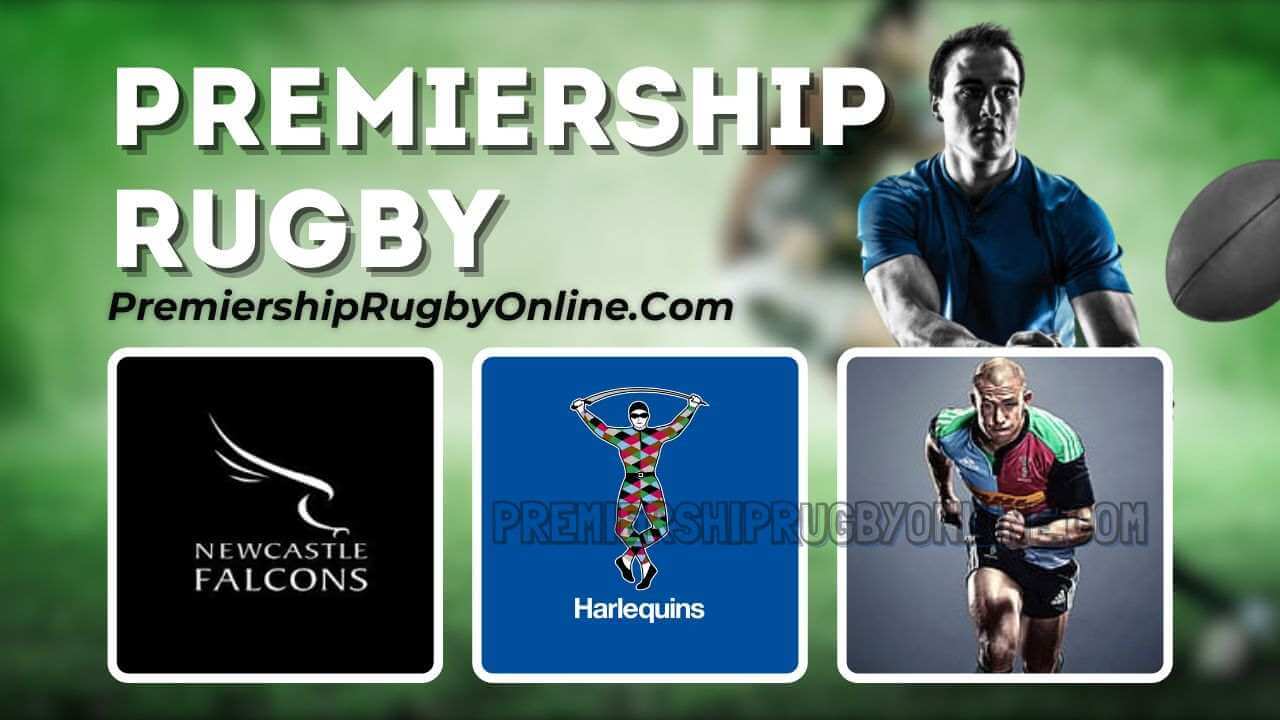 Live Rugby Newcastle Falcons Vs Harlequins