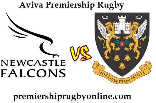 Northampton vs Newcastle Falcons live