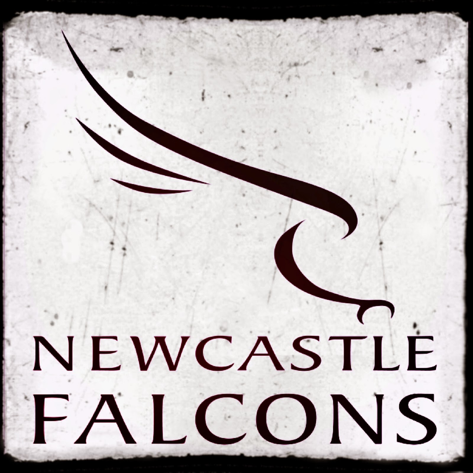 Live Newcastle Falcons